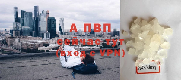 таблы Новодвинск