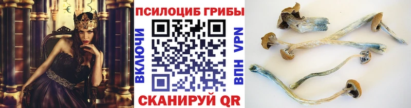 магазин    Лебедянь  Галлюциногенные грибы Cubensis 